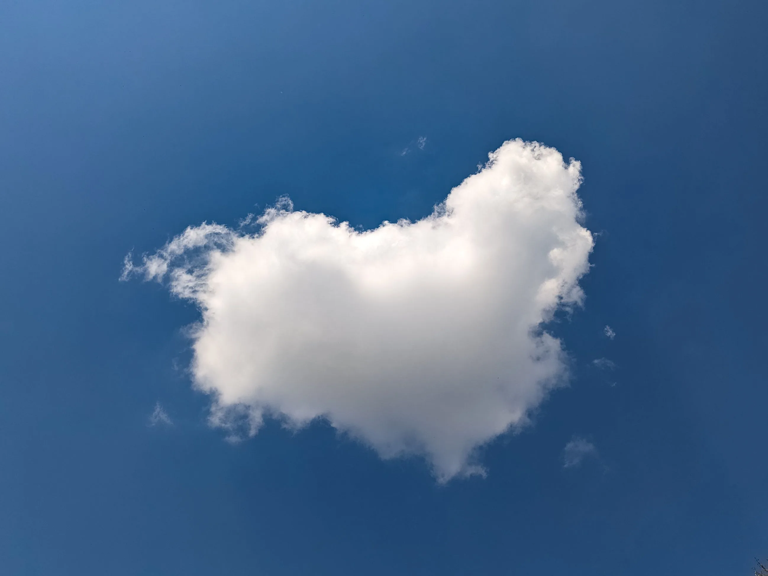 Original photograph of a compact white cloud whose silhouette suggested a sheep to the observer