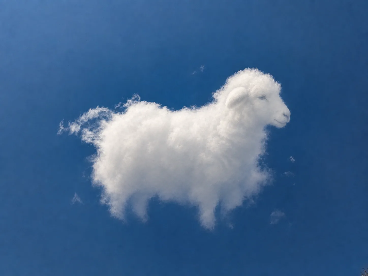 CloudMuse reveal showing a sheep within the shape and texture of the original white cloud